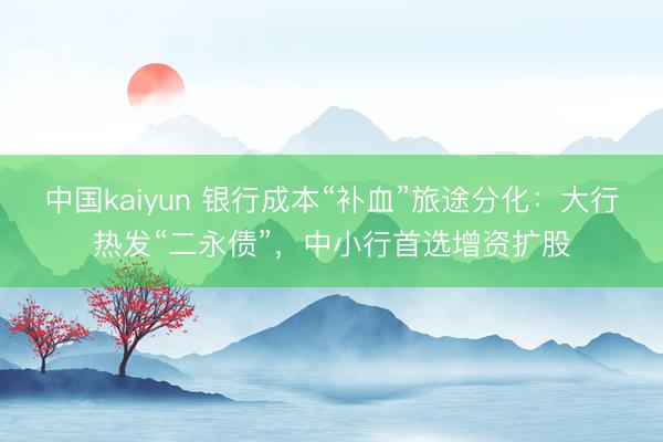 中国kaiyun 银行成本“补血”旅途分化：大行热发“二永债”，中小行首选增资扩股