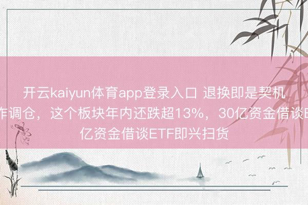 开云kaiyun体育app登录入口 退换即是契机？机构大当作调仓，这个板块年内还跌超13%，30亿资金借谈ETF即兴扫货