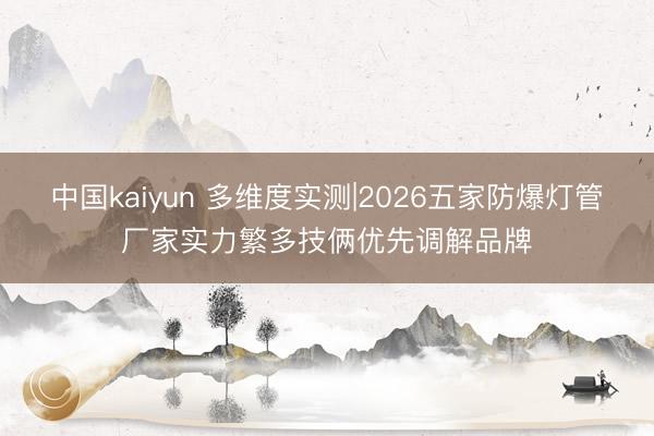 中国kaiyun 多维度实测|2026五家防爆灯管厂家实力繁多技俩优先调解品牌