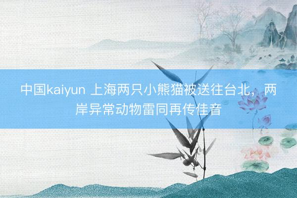 中国kaiyun 上海两只小熊猫被送往台北，两岸异常动物雷同再传佳音