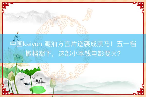 中国kaiyun 潮汕方言片逆袭成黑马！五一档撤档潮下，这部小本钱电影要火？