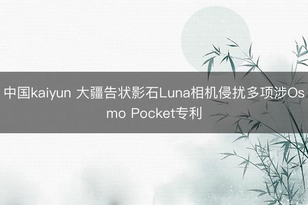 中国kaiyun 大疆告状影石Luna相机侵扰多项涉Osmo Pocket专利