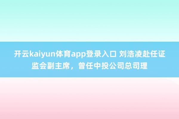 开云kaiyun体育app登录入口 刘浩凌赴任证监会副主席，曾任中投公司总司理